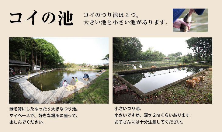 八王子　鯉と金魚の釣り堀　森屋荘　コイつり　