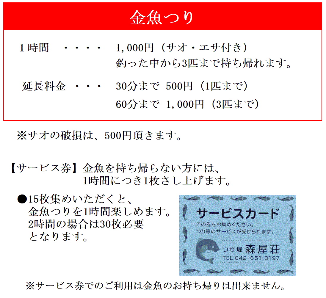 鯉と金魚の釣り堀　森屋荘　金魚釣り料金