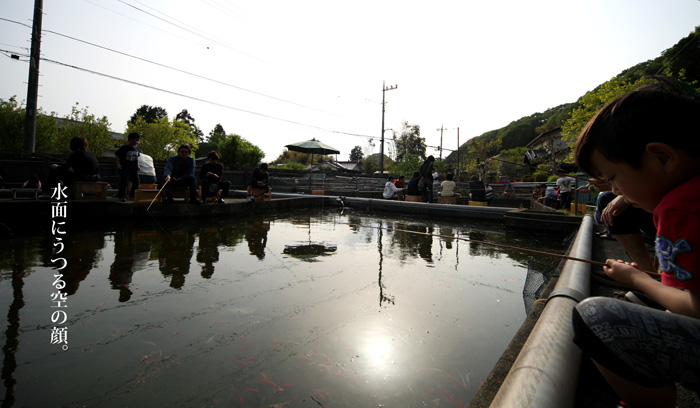 八王子　釣り堀　森屋荘