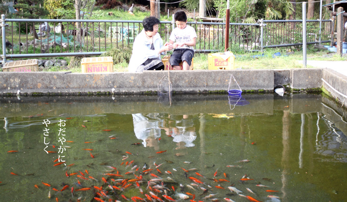 八王子　釣り堀　森屋荘