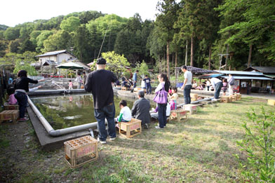 八王子　恩方　鯉と金魚の釣り堀　森屋荘　釣りの楽しみ
