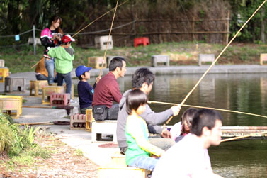 八王子　恩方　鯉と金魚の釣り堀　森屋荘　親子で釣り